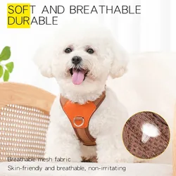Arnés ajustable con correa y collar para perros