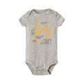 R4324-SRPGY-
