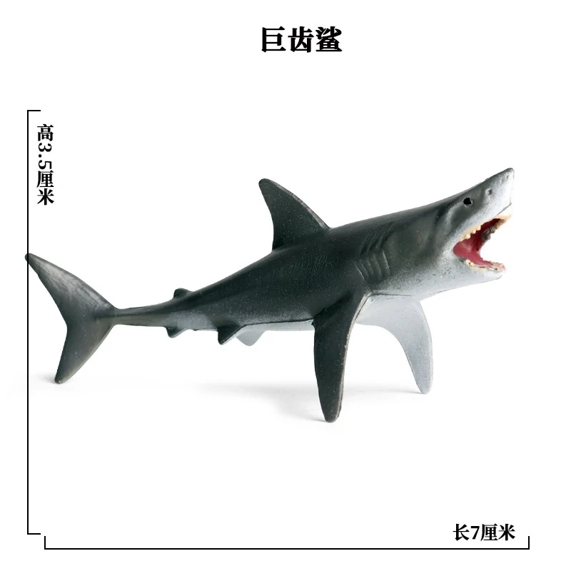 SEA LIFE - 7