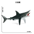 SEA LIFE - 7