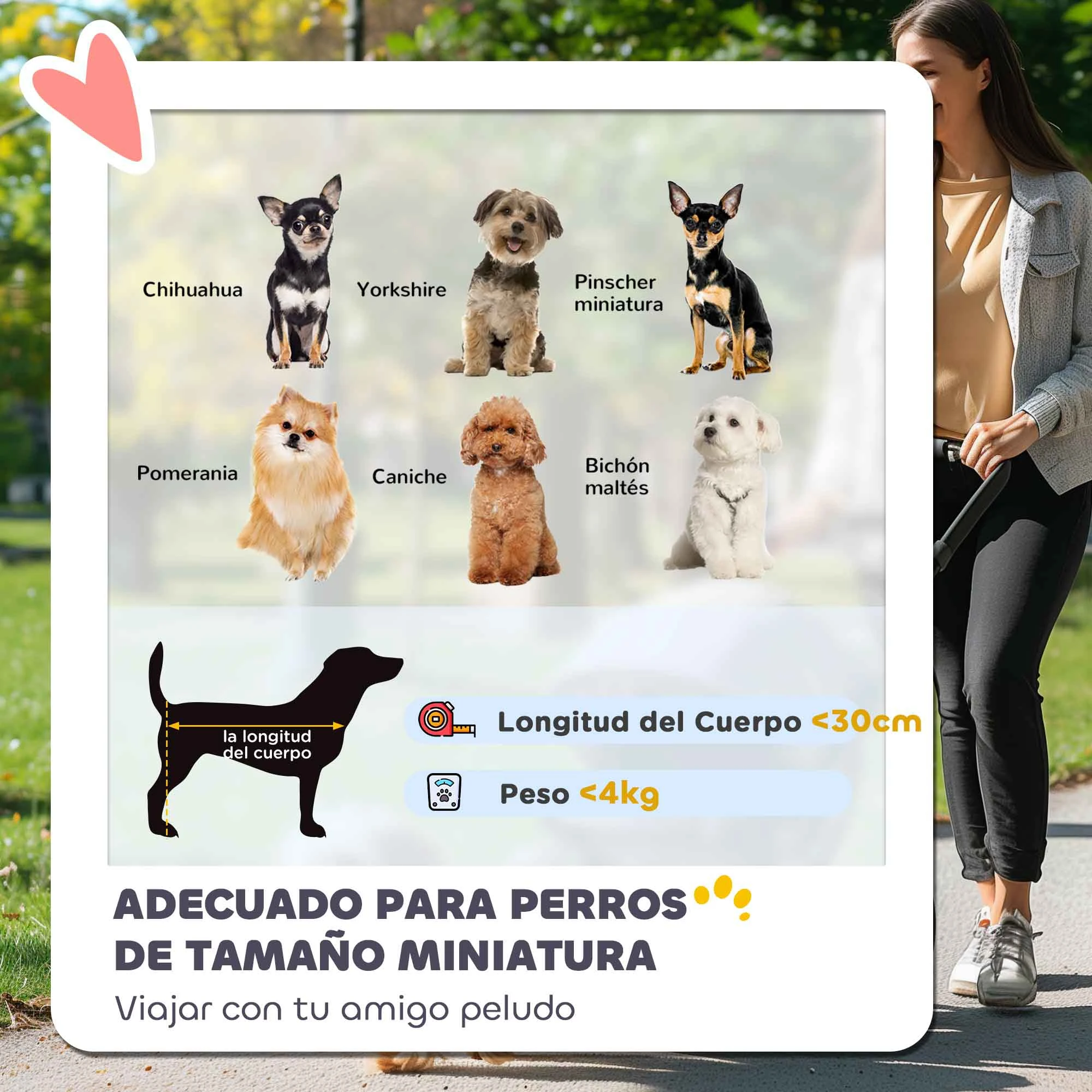 PawHut Cochecito para Perros Pequeños con Estructura de Paraguas Carrito para Perros Plegable con Cojín Lavable Portavaso Ventanas de Malla y Bolsa de Almacenamiento Azul - imagen 4