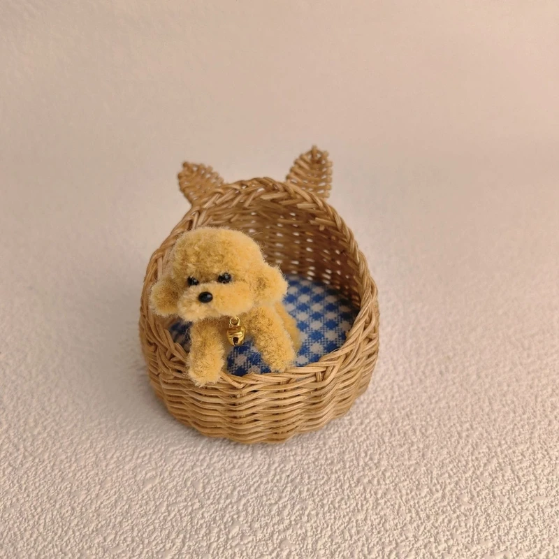 B1-with dog doll