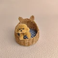 B1-with dog doll