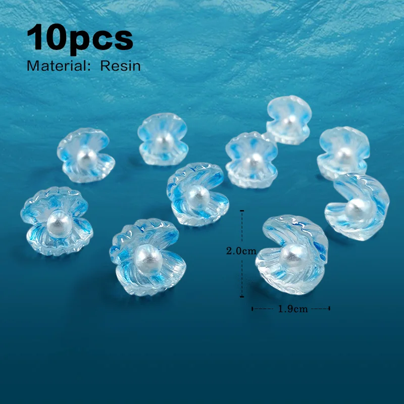 10pcs Conch