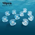10pcs Conch