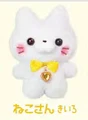 Cat yellow
