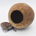 Coconut shell nest