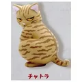 tabby cat