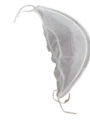 mosquito net