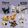10pcs Cat -M05