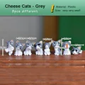 8pcs Cheese Grey