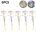 5PCS