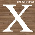 only Letter X No Box