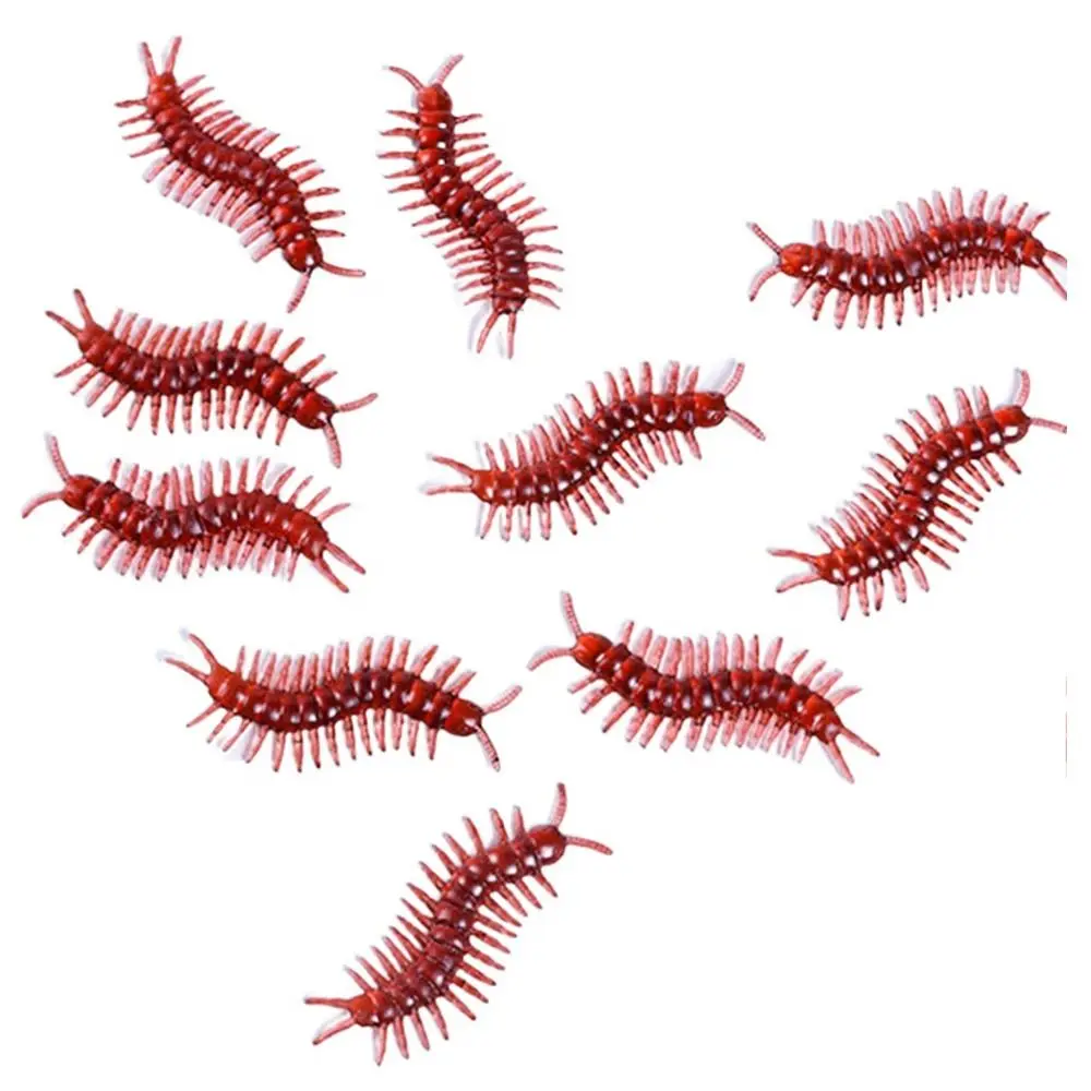Centipede