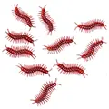 Centipede