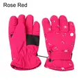 style4-Rose Red