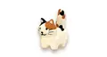 calico cat