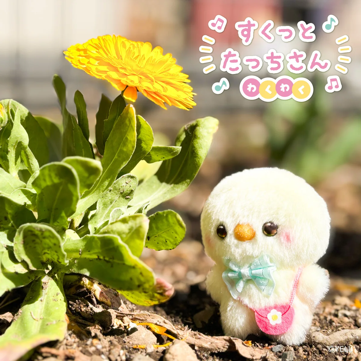 Sukutto Tatchisan Peluche Sonoro Pato con Lazo y Cinta Flores - imagen 5