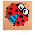 ladybird