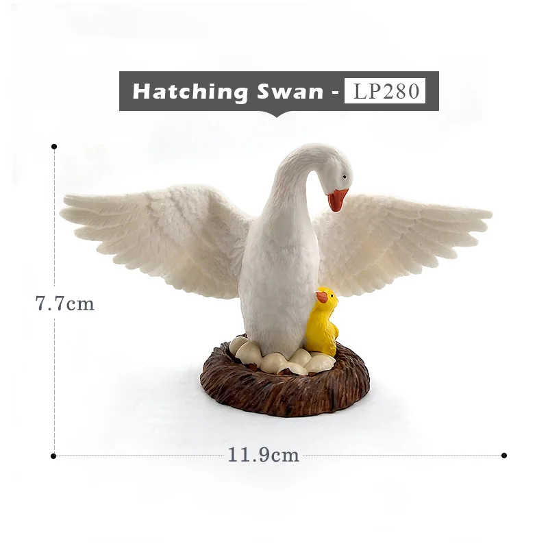 Hatching Swan