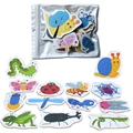 insect without box