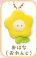 flower orange