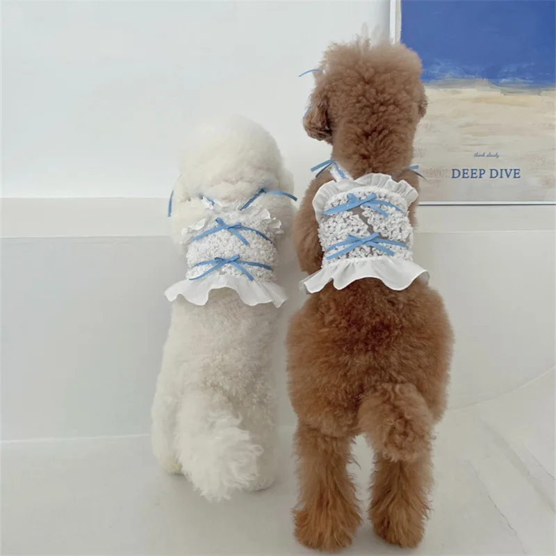 Vestido bordado de malla de primavera para mascotas, correa trasera para perro, falda hueca cómoda y fresca, tocado, ropa para cachorros