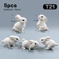 5pcs Rabbit-T21