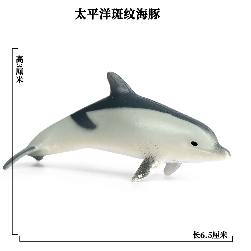 SEA LIFE - 29