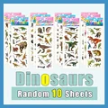 10 Sheets ZSKL