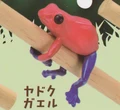 tree frog