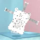 bear stars