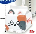 calico milk cat