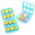 Colour Boxed 6PCS