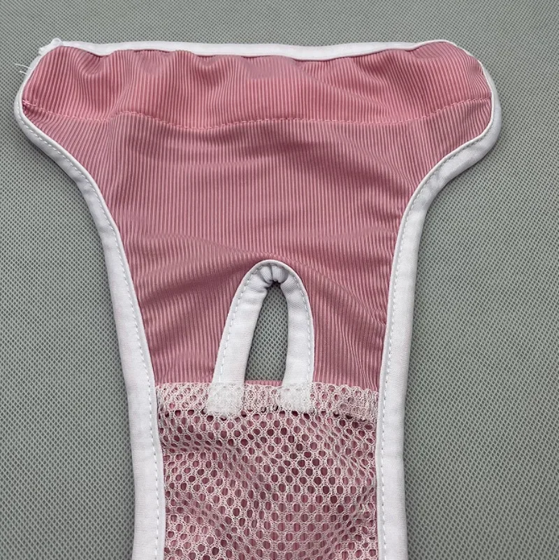 Bragas de período bordado para perro, ropa interior femenina rosa y azul para mascotas, pantalones de período menstrual para gato o perro - imagen 3