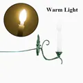 Warm Light Green