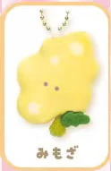 potato vine