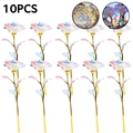 10PCS