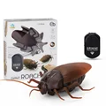 Cockroach