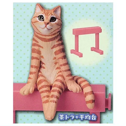 Brown tiger cat