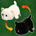 cat B