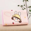 E-44x27cm pillowcase