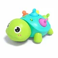Musical Turtle Toy