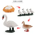ZQ2419 4pcs