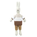 rabbit B3-25cm