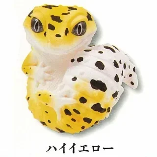 Hi-yellow Gecko