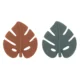 set-c