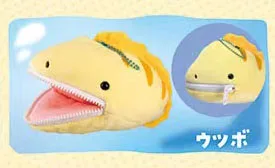 moray eel