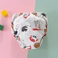 Gato