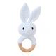 white rabbit